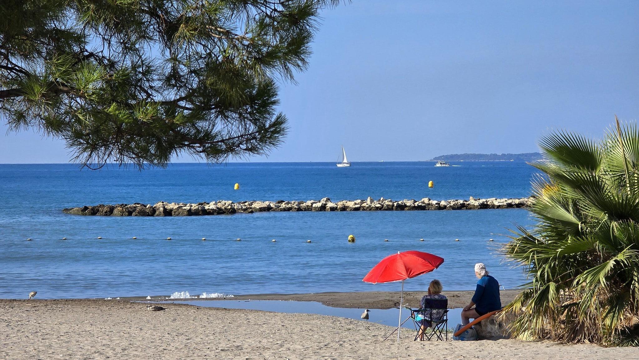 «C’est comme une forêt qui brûle sous l’eau» : ce que cache la vague de chaleur marine en Méditerranée