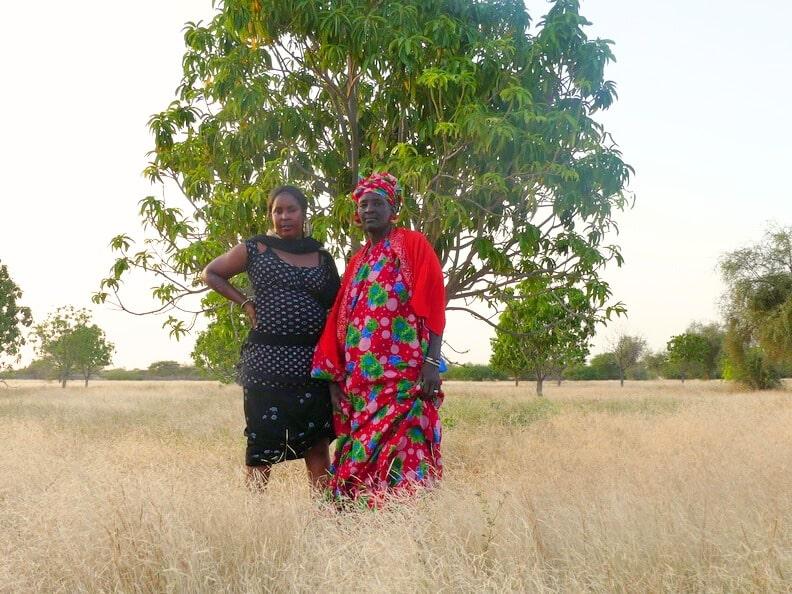 La Grande muraille verte, une vraie solution contre la désertification au Sahel ?