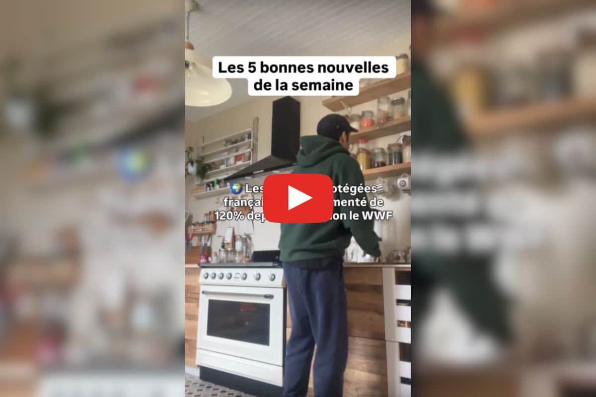 La protection des espèces fonctionne, les émissions de gaz à effet de serre baisse en Île-de-France : les bonnes nouvelles de la semaine