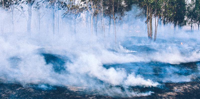 Vers un climat extrême en France