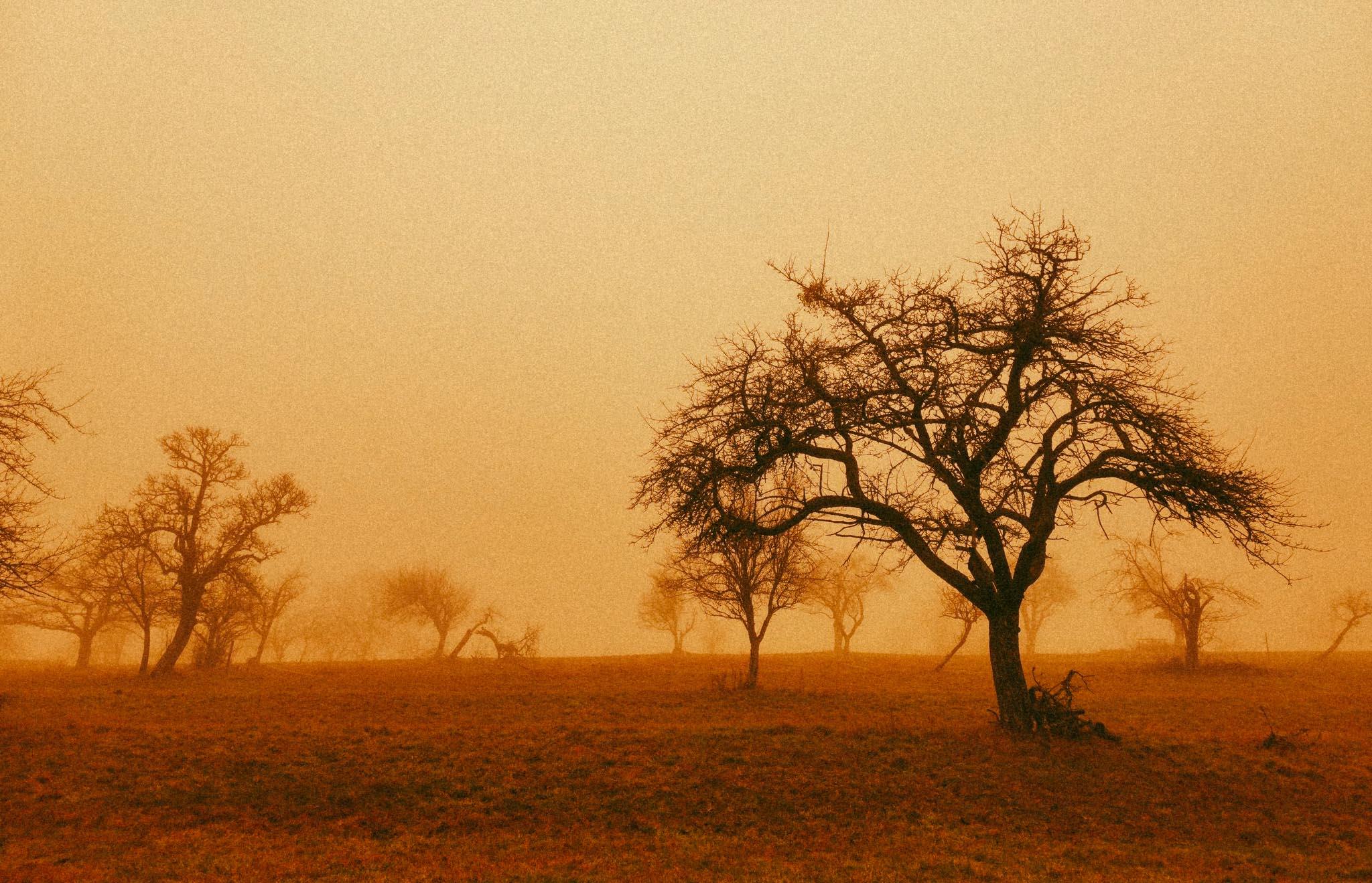 Le vent mauvais du Sahara