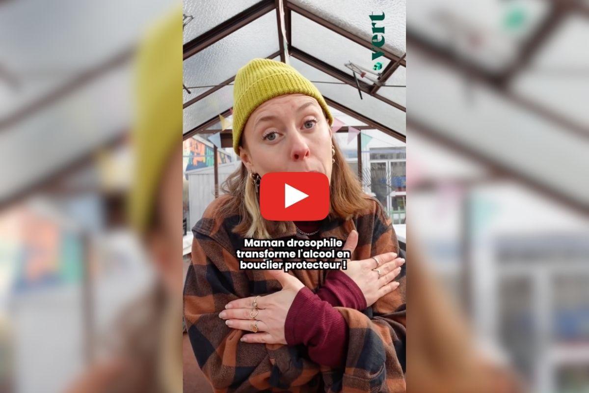 Les animaux font-ils le dry january ? La réponse avec Ophélie Damblé, alias Ta mère nature