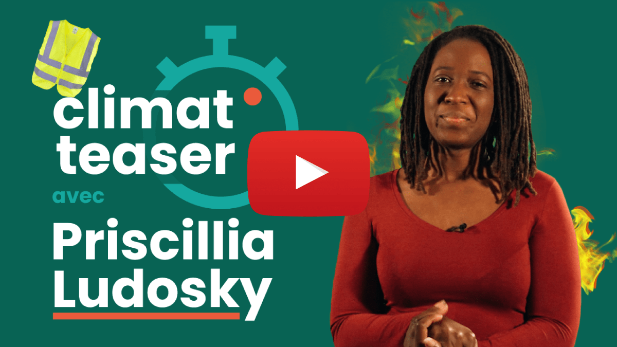 ► Avengers et Gilets jaunes au secours du climat