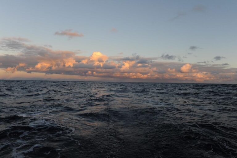 Le traité sur la haute mer entre officiellement en vigueur : des aires marines protégées à la COP1 sur l&rsquo;océan, voici ce qui va changer