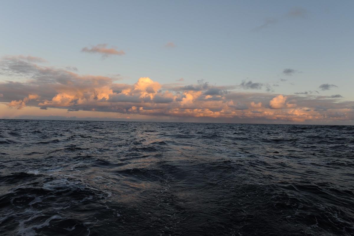 Le traité sur la haute mer entre officiellement en vigueur : des aires marines protégées à la COP1 sur l&rsquo;océan, voici ce qui va changer