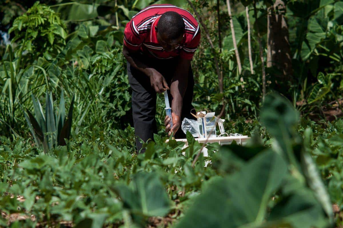 L’agriculture s’invite à la COP27, pour le meilleur et pour le pire