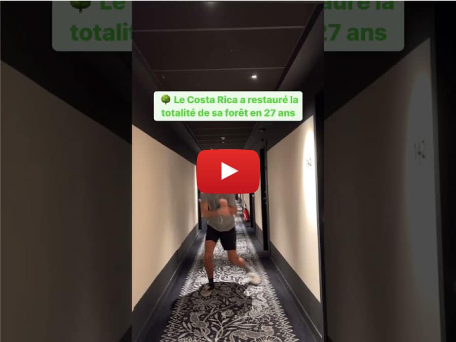 Forêts au Costa Rica, voitures thermiques en Ethiophie, moins de viande : les bonnes nouvelles de la semaine