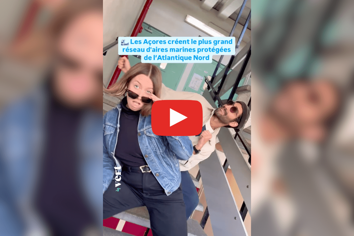 Le saumon-carpe géant refait surface, le métro de Barcelone produit de l&rsquo;énergie propre : les bonnes nouvelles de la semaine