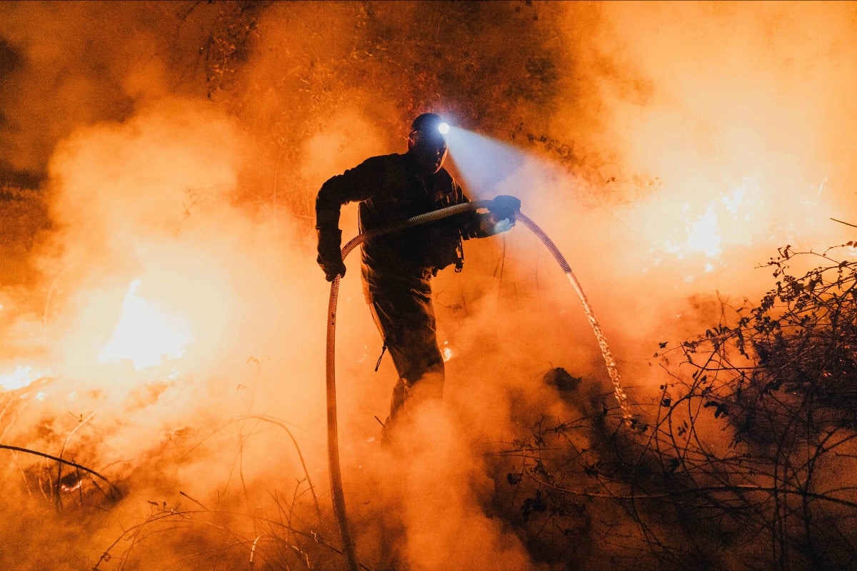 Incendies meurtriers dans la péninsule ibérique : plus de 370 000 hectares ravagés en 2025 en Espagne, un record