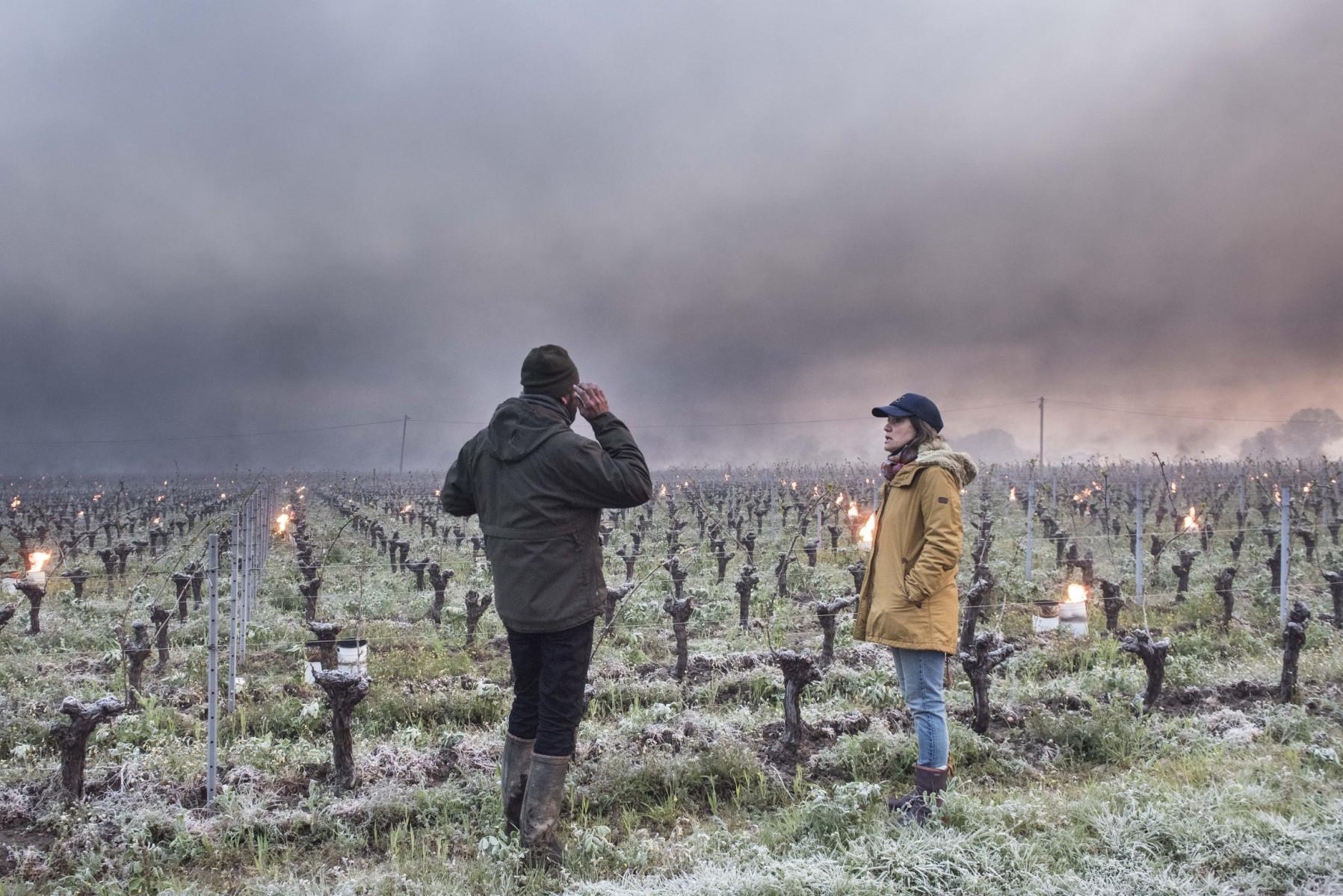 Face au risque climatique qui bouleverse l’agriculture, l’État s’en remet au privé