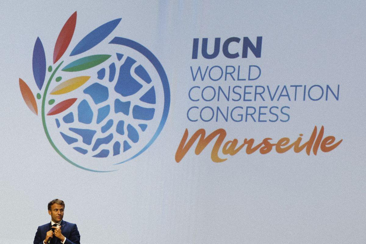 Biodiversité : le bilan d’Emmanuel Macron sur liste rouge