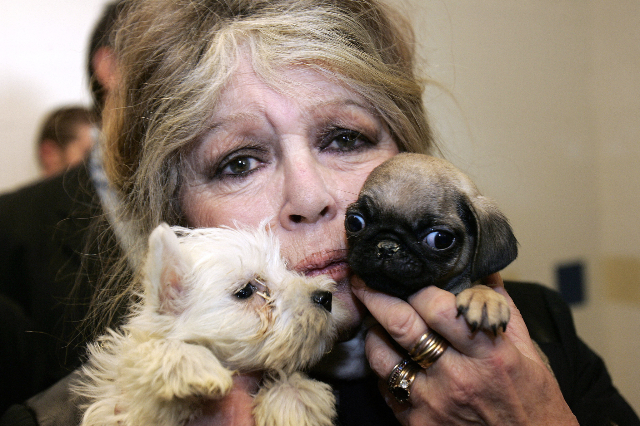 «Une bonne action en faveur des animaux ne permet pas de tenir des propos racistes» : le délicat hommage à Brigitte Bardot dans les sphères écologistes et animalistes