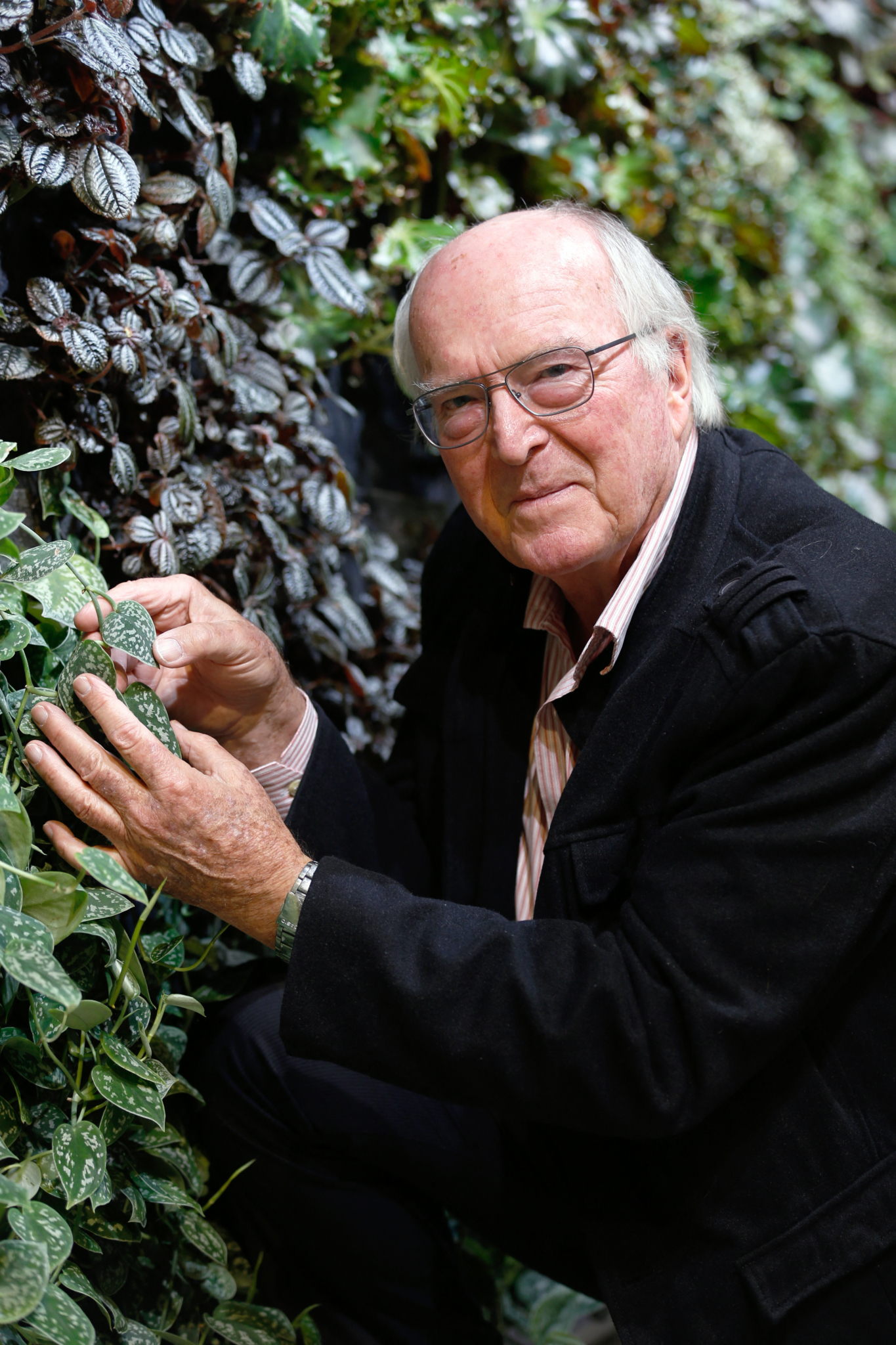 «Il portait la voix des plantes» : disparition du botaniste Francis Hallé, l&rsquo;homme qui voulait recréer une forêt primaire en Europe