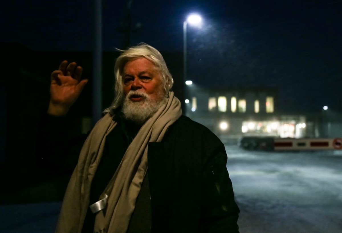 Le Japon et les sociétés baleinières jugent «regrettable» la libération du militant Paul Watson