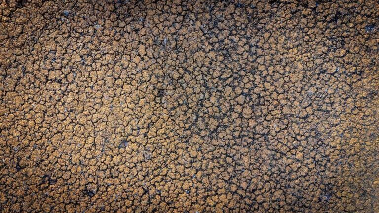 Sécheresse record en Europe et sur le pourtour méditerranéen : plus de la moitié des sols ont été impactés cet été 