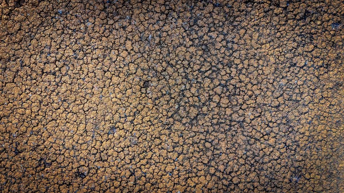 Sécheresse record en Europe et sur le pourtour méditerranéen : plus de la moitié des sols ont été impactés cet été 
