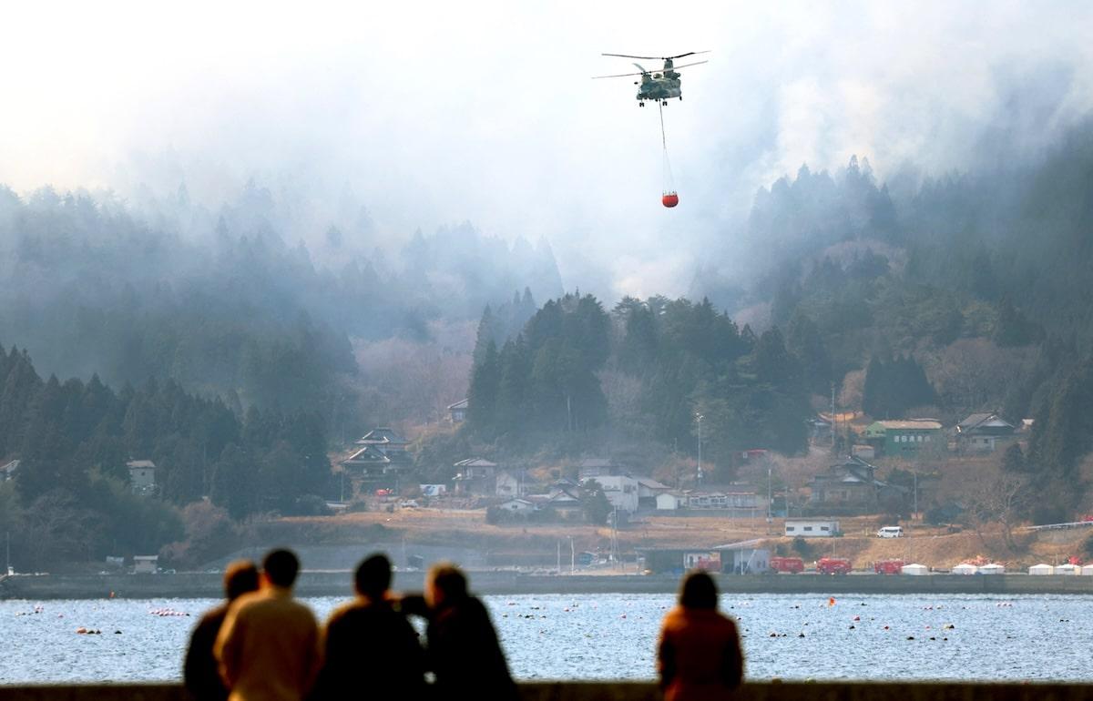 Au Japon, le pire incendie de forêt depuis 50 ans continue de se propager