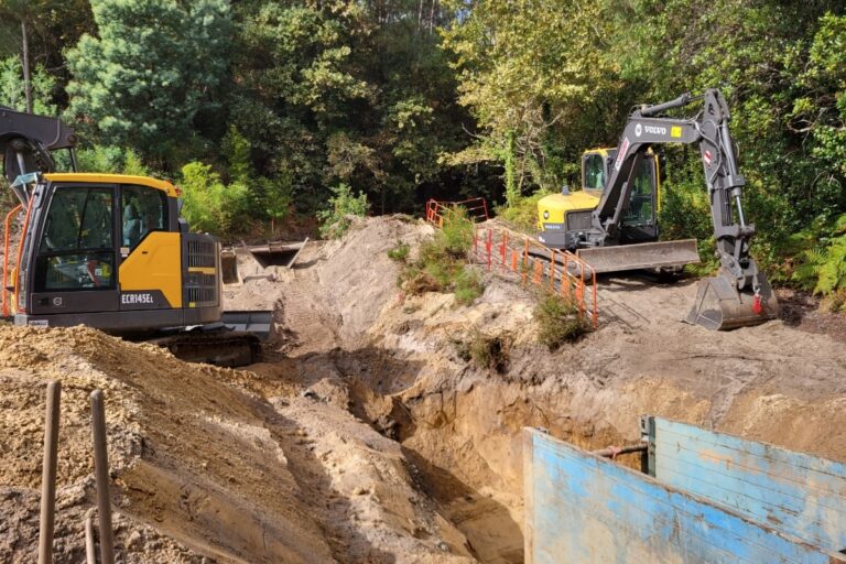 «Une catastrophe environnementale» : dans les Landes, le projet franco-espagnol de ligne à très haute tension met le feu aux poudres