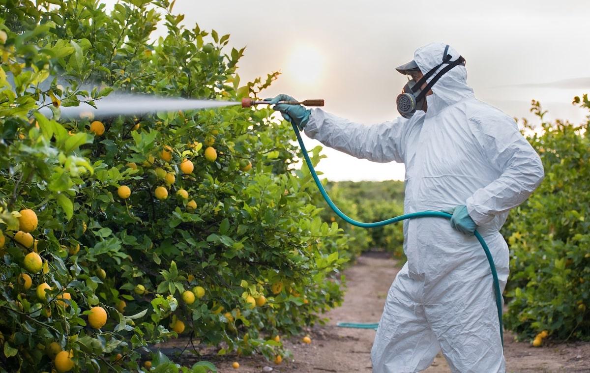 Pommes, oranges, tomates… Quels sont les aliments les plus contaminés aux pesticides et ceux qui en contiennent le moins ?
