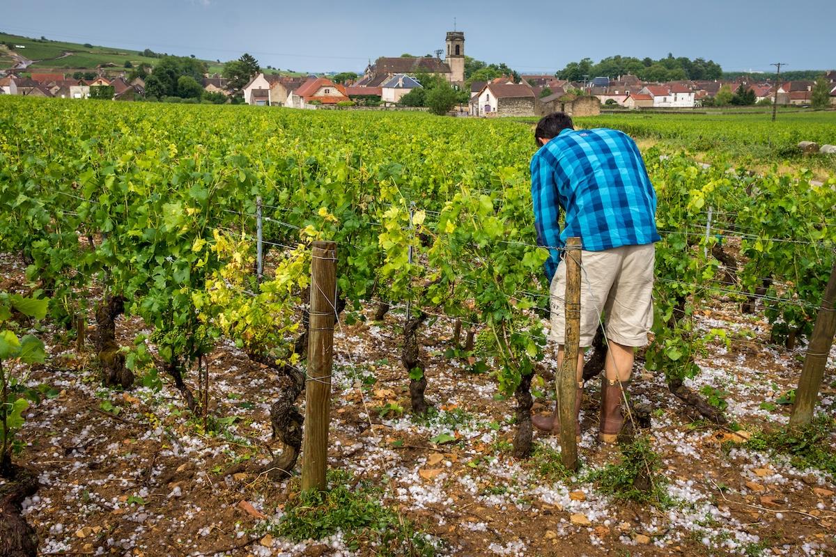 Limiter la grêle ou stimuler la pluie : quand l’agriculture mise sur l’ensemencement des nuages