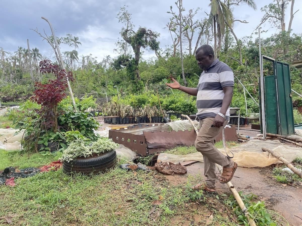 «Toutes les exploitations de l’île sont rasées» : un mois après le cyclone Chido à Mayotte, les agriculteurs essayent de se relever