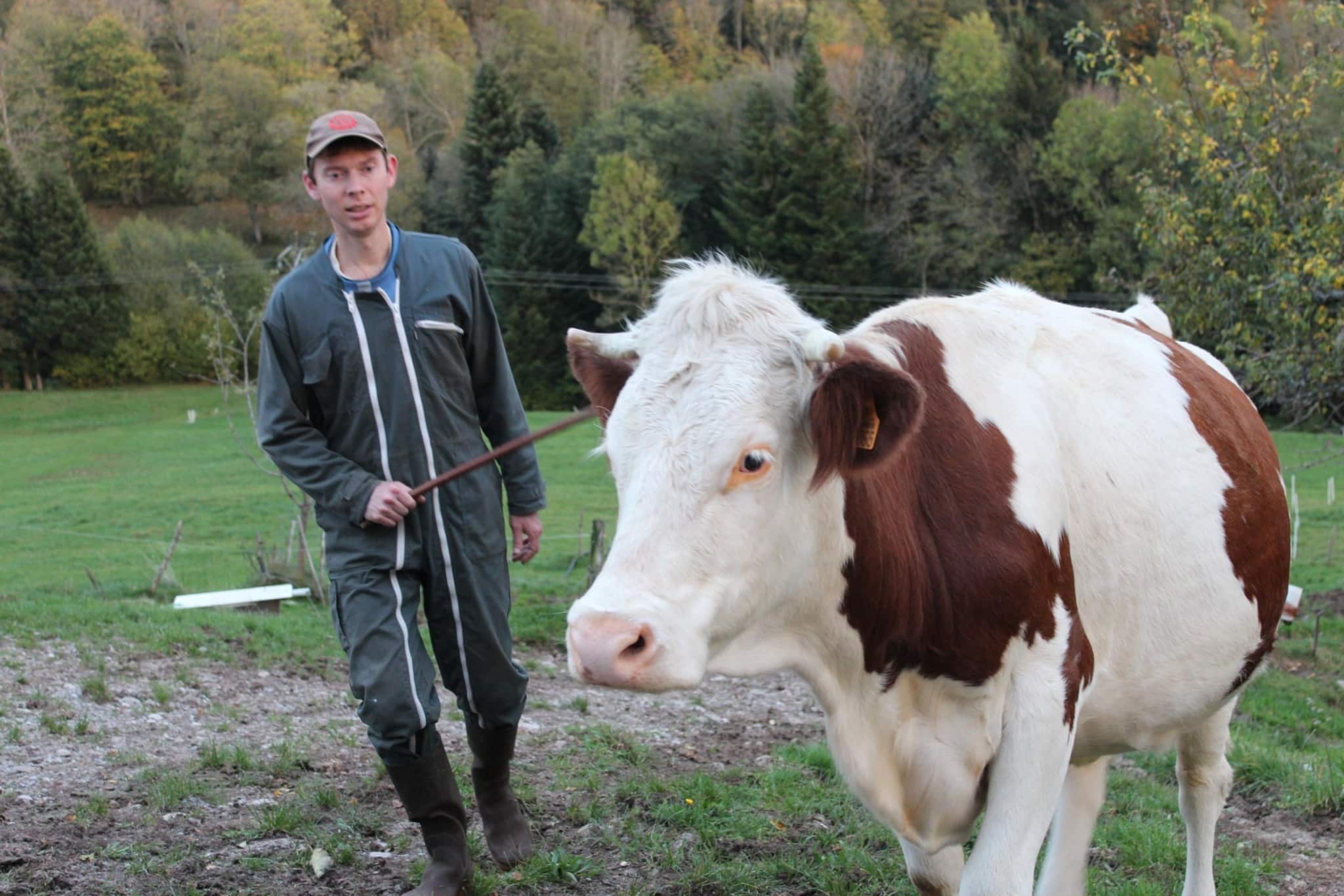 Qu’est-ce que l’« agriculture paysanne », ce projet de transformation sociale et écologique du monde agricole ?