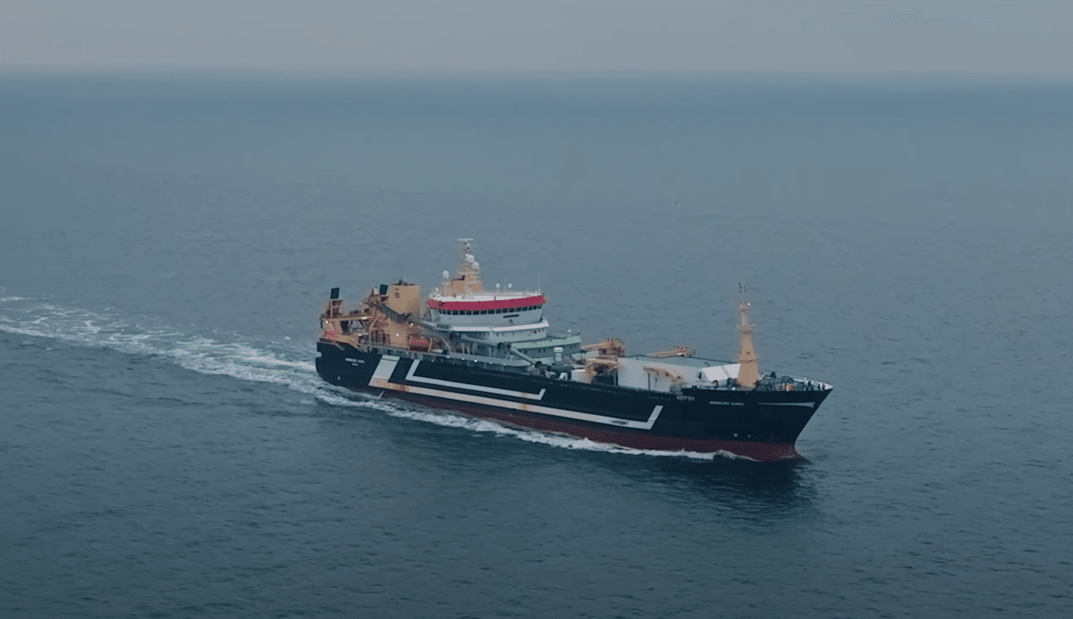 «Ils s’allient pour écraser les autres» : comment cinq géants néerlandais dominent la pêche industrielle en Europe