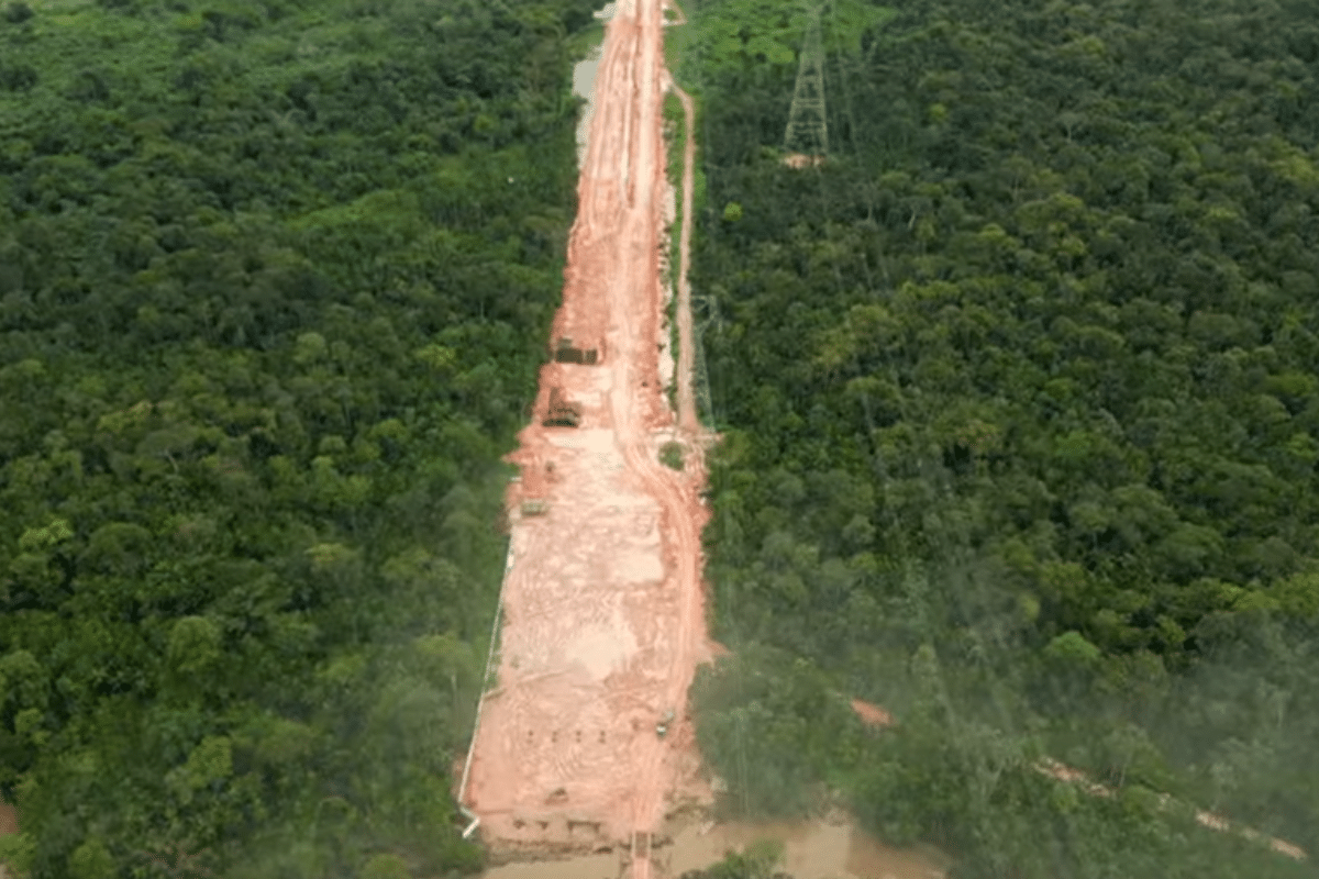 Une route au milieu de l’Amazonie pour la COP sur le climat : les médias ont-ils «désinformé» ?