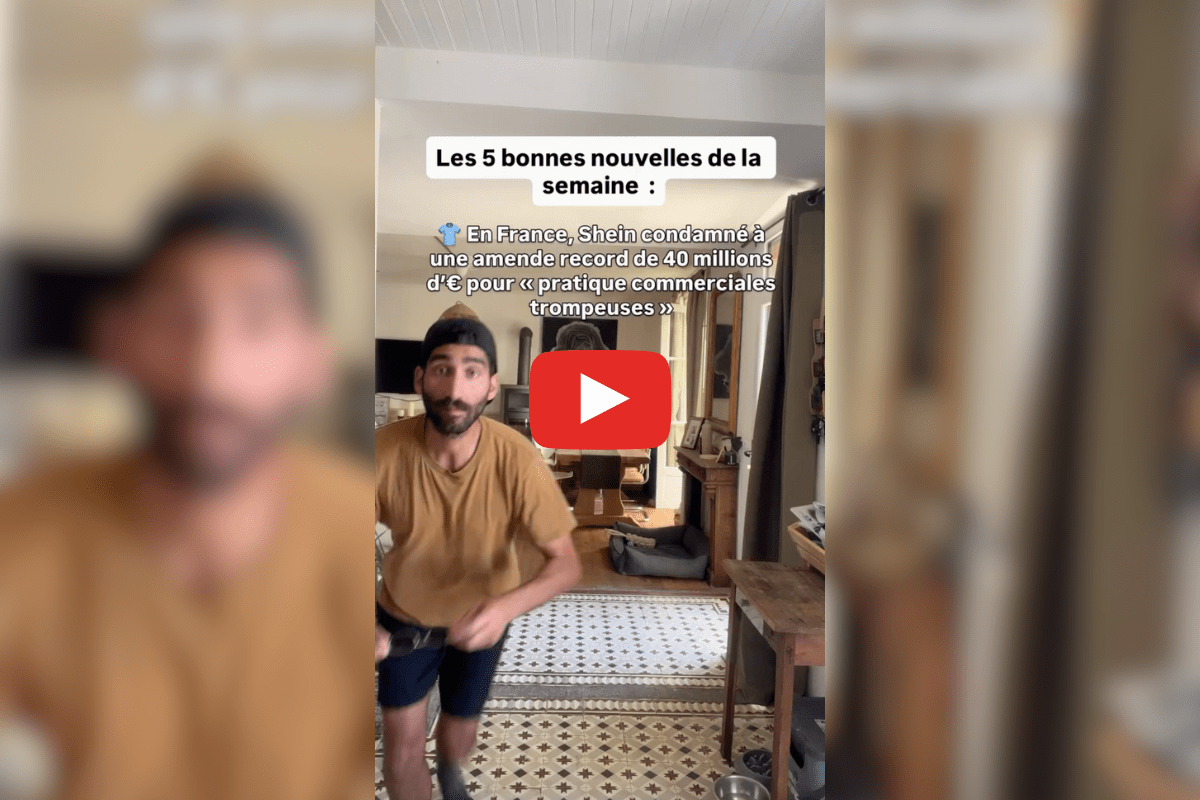 Amende record pour Shein, bien-être des chiens et chats européens : les bonnes nouvelles de la semaine