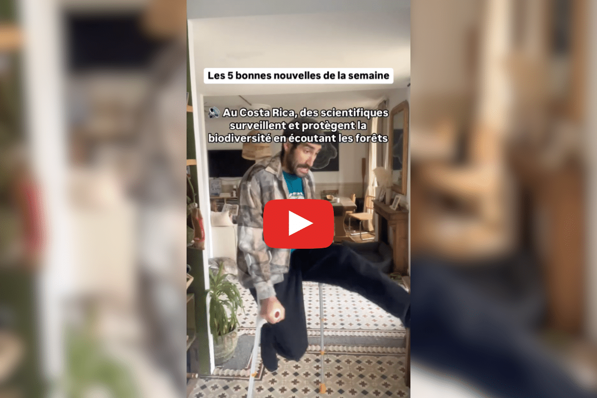 Une voie réservée au covoit’, des scientifiques à l’écoute des forêts… les bonnes nouvelles de la semaine