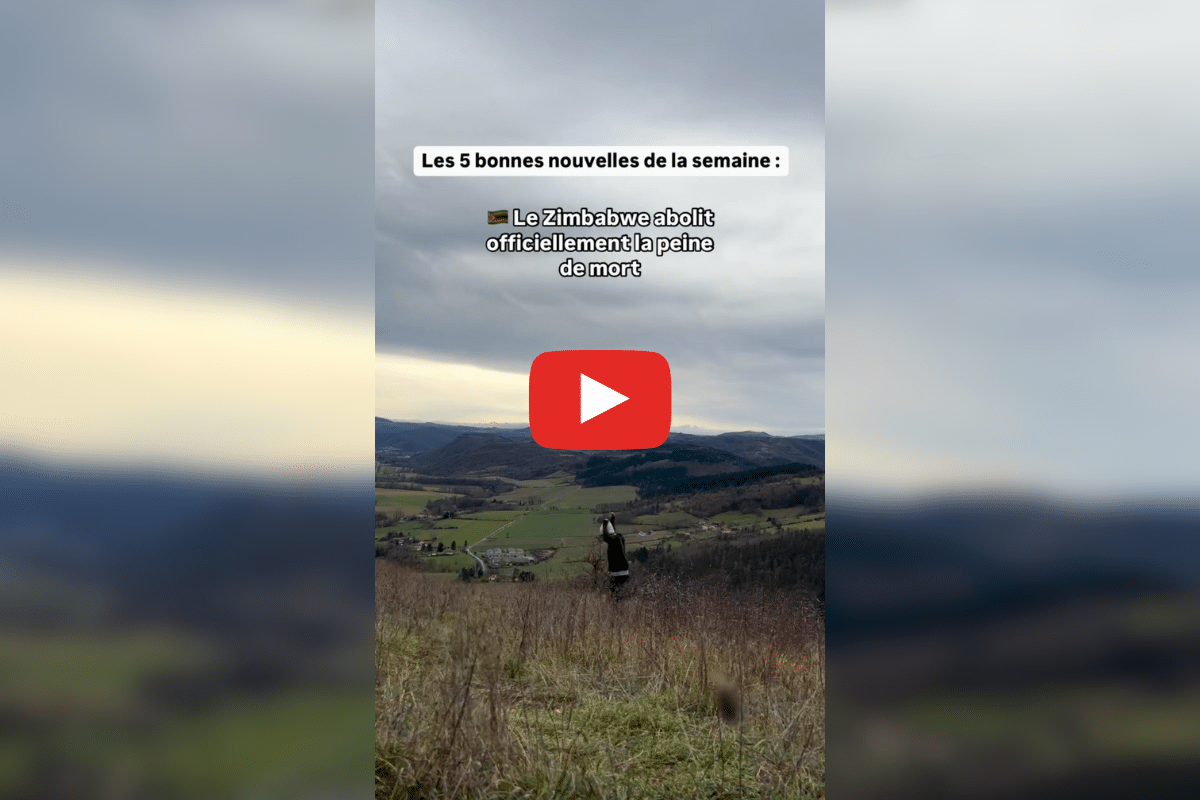 Le Québec va interdire la vente de voitures thermiques, New York veut faire payer les pollueurs : les bonnes nouvelles de la semaine