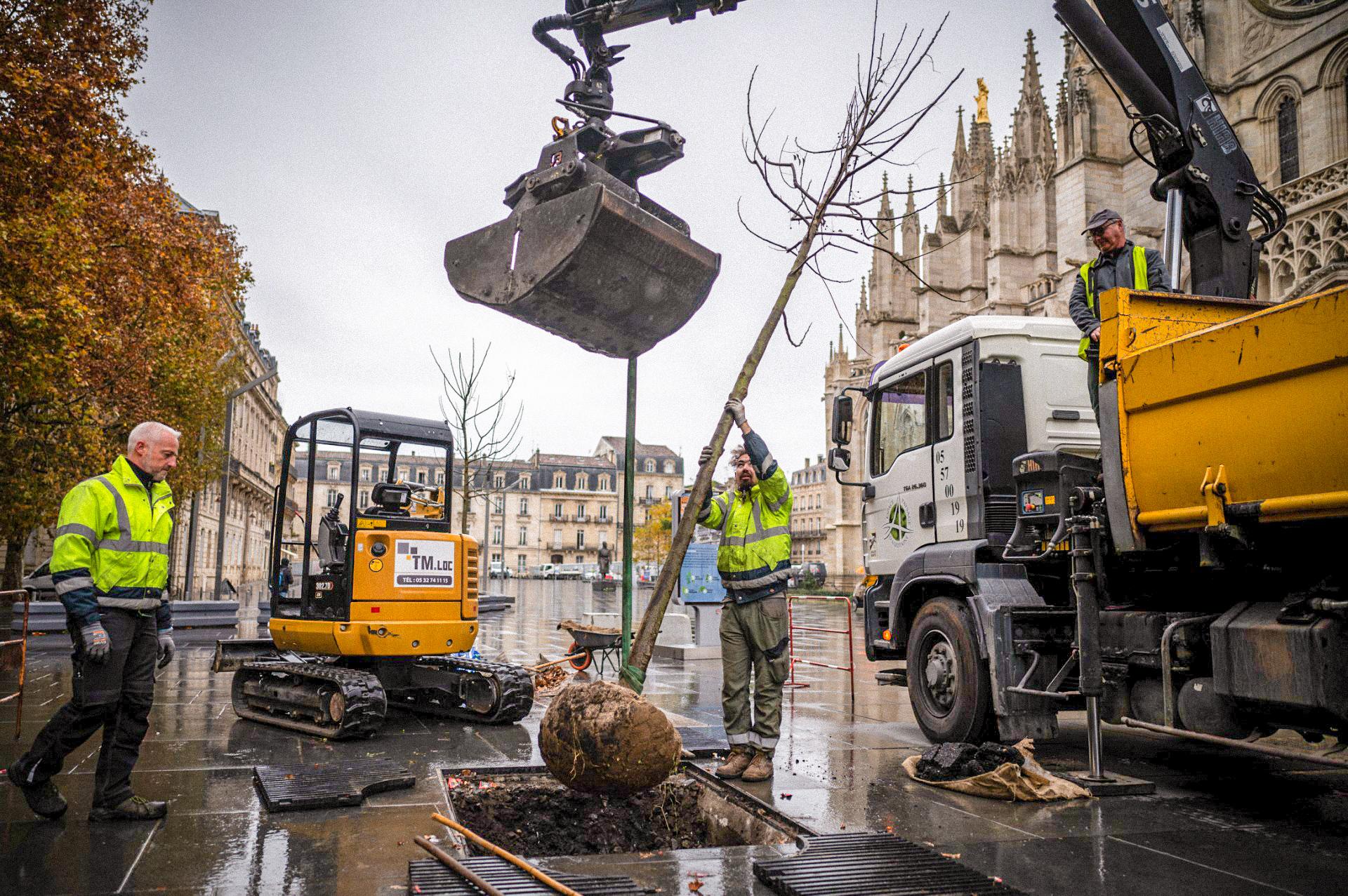 À Bordeaux, la végétalisation à l’assaut du béton et de la chaleur