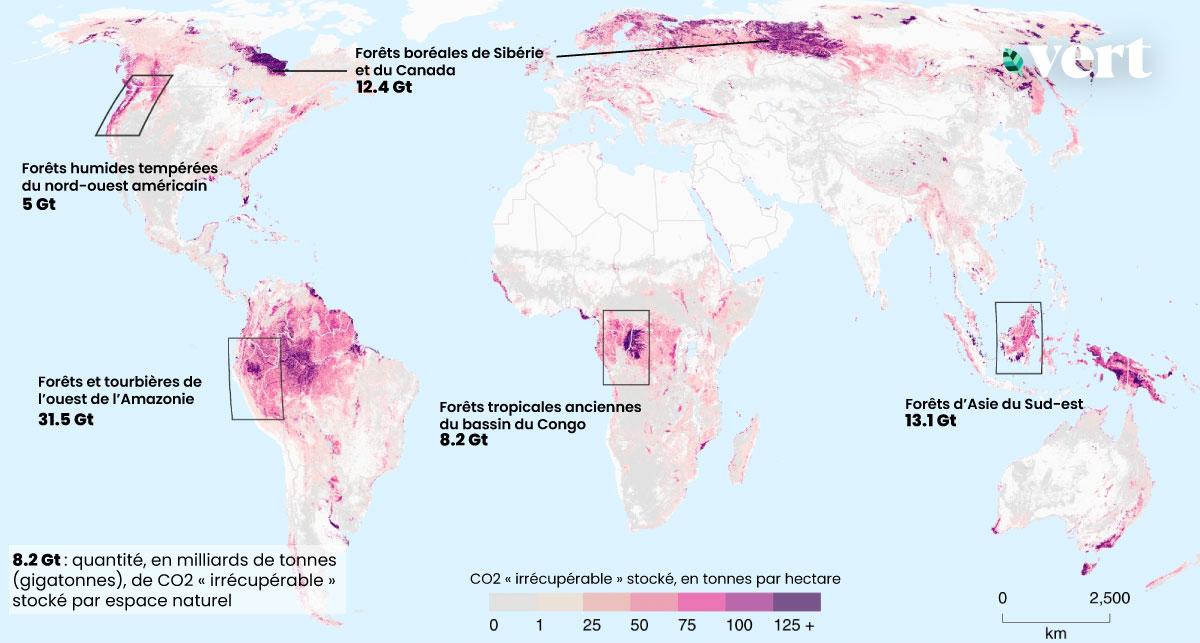 Les espaces naturels à ne surtout pas détruire pour combattre le réchauffement