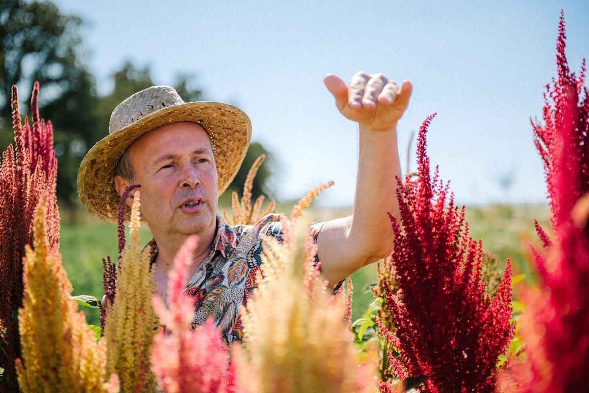 Sécheresse, gel… près de Lyon, des aventuriers des plantes à la recherche des espèces qui nous nourriront dans le climat de demain