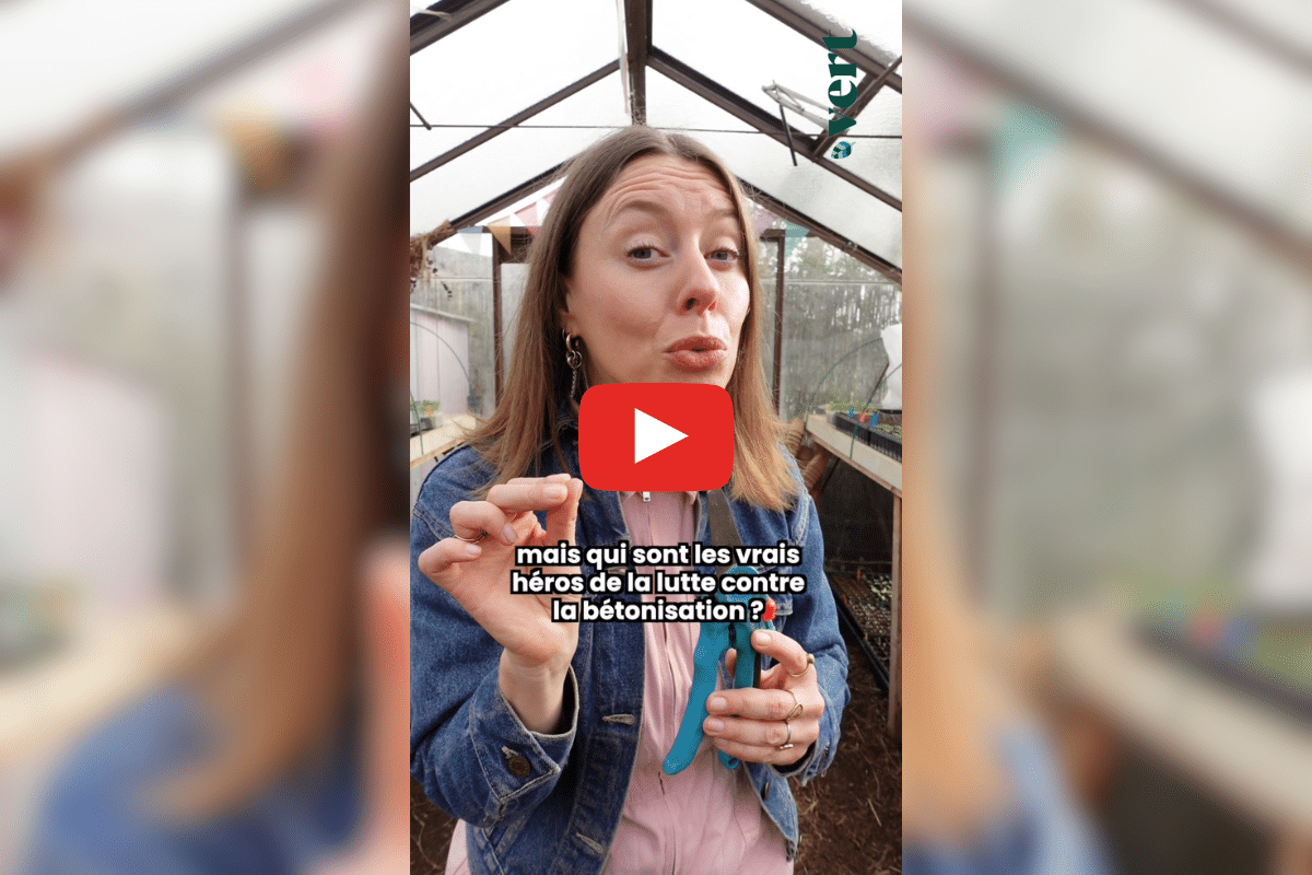 Outarde canepetière, triton crêté… Ta mère nature célèbre ces espèces qui ont fait capoter des méga-projets