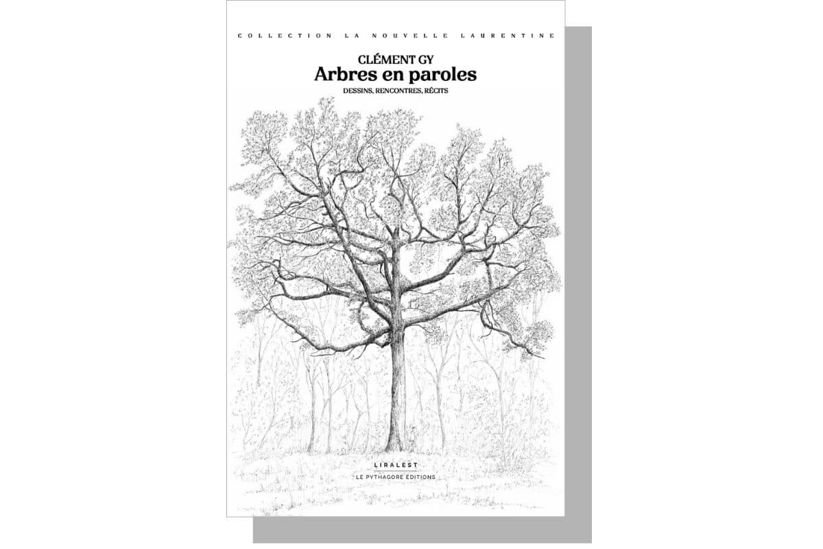 «Arbres en paroles» : pour chaque homme et pour chaque femme, il y a un arbre compagnon