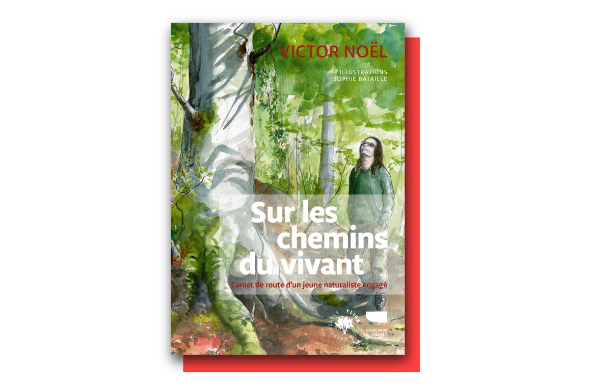 Sur les chemins du vivant : la promenade pour s’émerveiller et s’engager avec Victor Noël