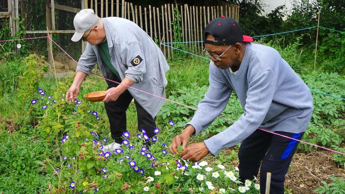 «Le bio, on le fabrique nous-mêmes !» : à Bondy, des habitants gèrent un potager urbain pour sortir du piège de la malbouffe