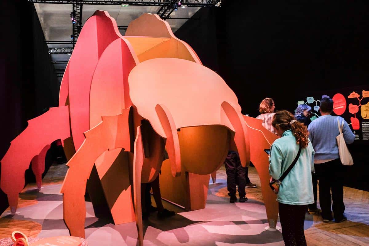 Poux, puces, acariens : plongée dans le monde des « mini-monstres » au Muséum national d’histoire naturelle
