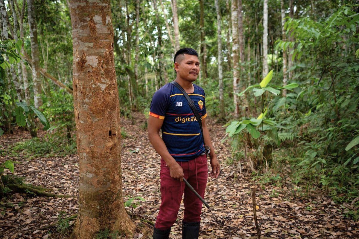 En Colombie, d’anciens combattants des Farc ont abandonné leurs fusils pour restaurer la forêt amazonienne