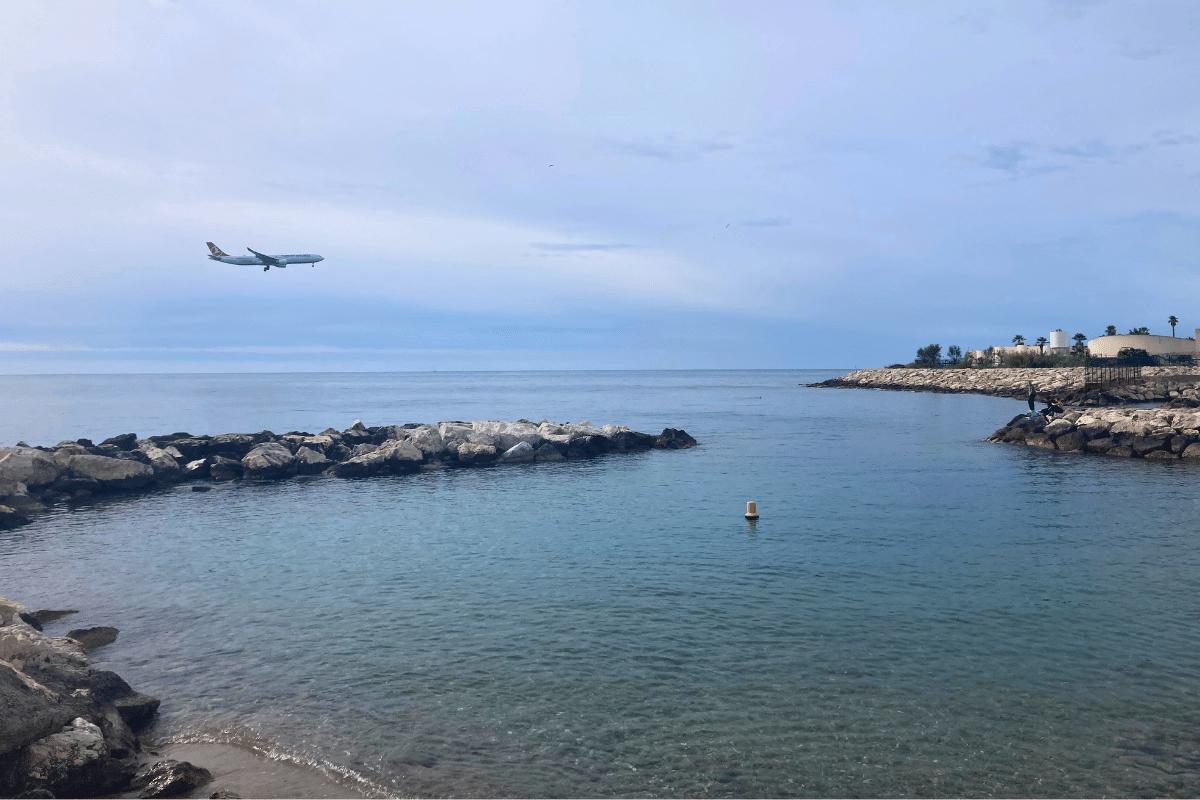 À Nice, un projet d’aire marine protégée à deux pas du béton, entre espoir et accusations de «bluewashing»