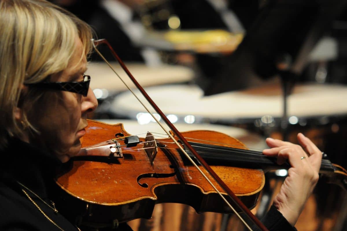 Le Brésil veut interdire le commerce de pernambouc, un bois rare qui sert à fabriquer des archets : un «sujet sensible» pour les musiciens