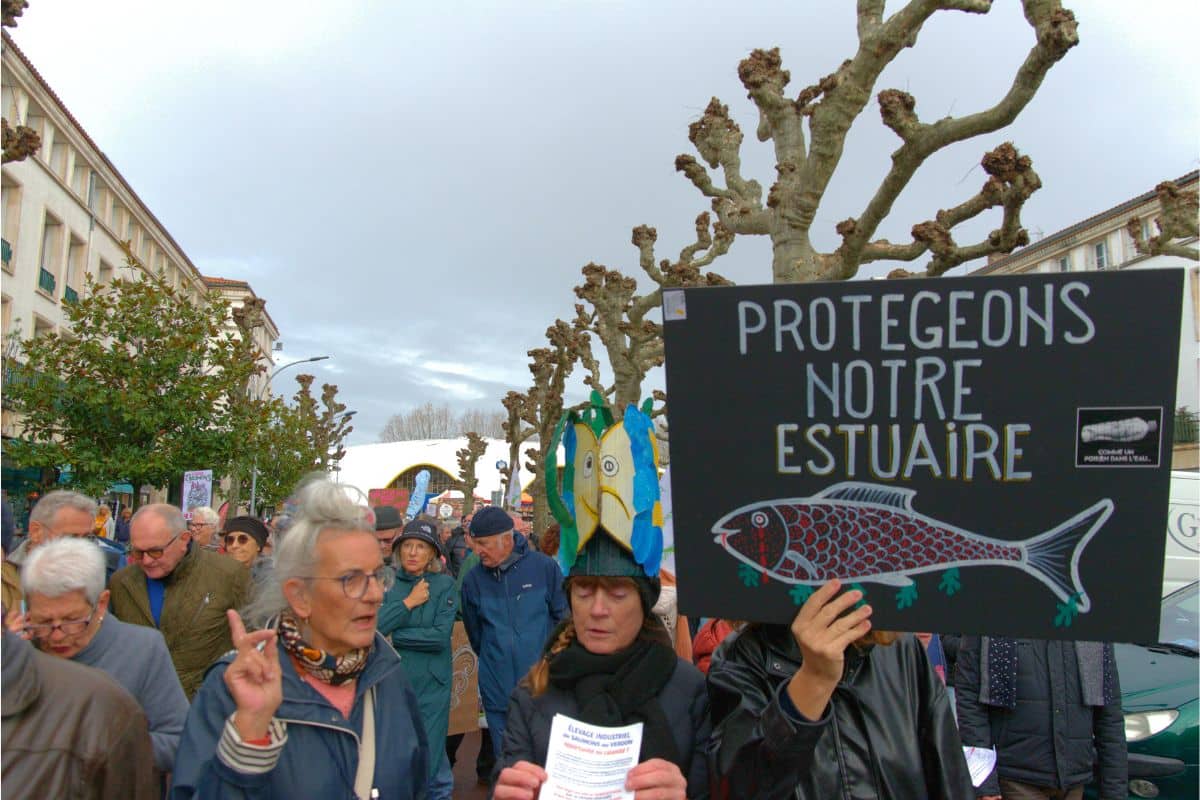«On n’a pas vu ça depuis la réforme des retraites !» : en Gironde, le projet d’usine à saumons mobilise ses opposants