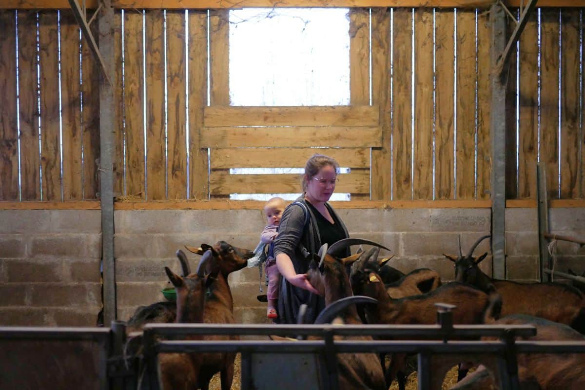 «Parler à mon père, c’est du stress» : en Normandie, un groupe de parole entre agricultrices face au sexisme dans leur travail