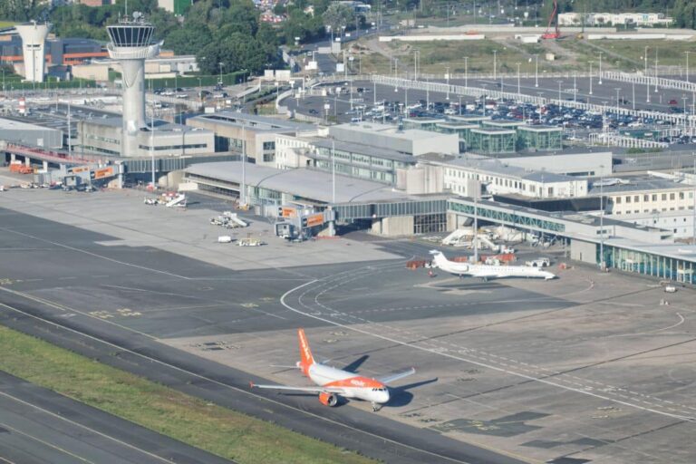 «Couper des arbres pour faire voler des avions, c’est un non-sens absolu» : dans les Pyrénées-Atlantiques, le projet E-CHO inquiète