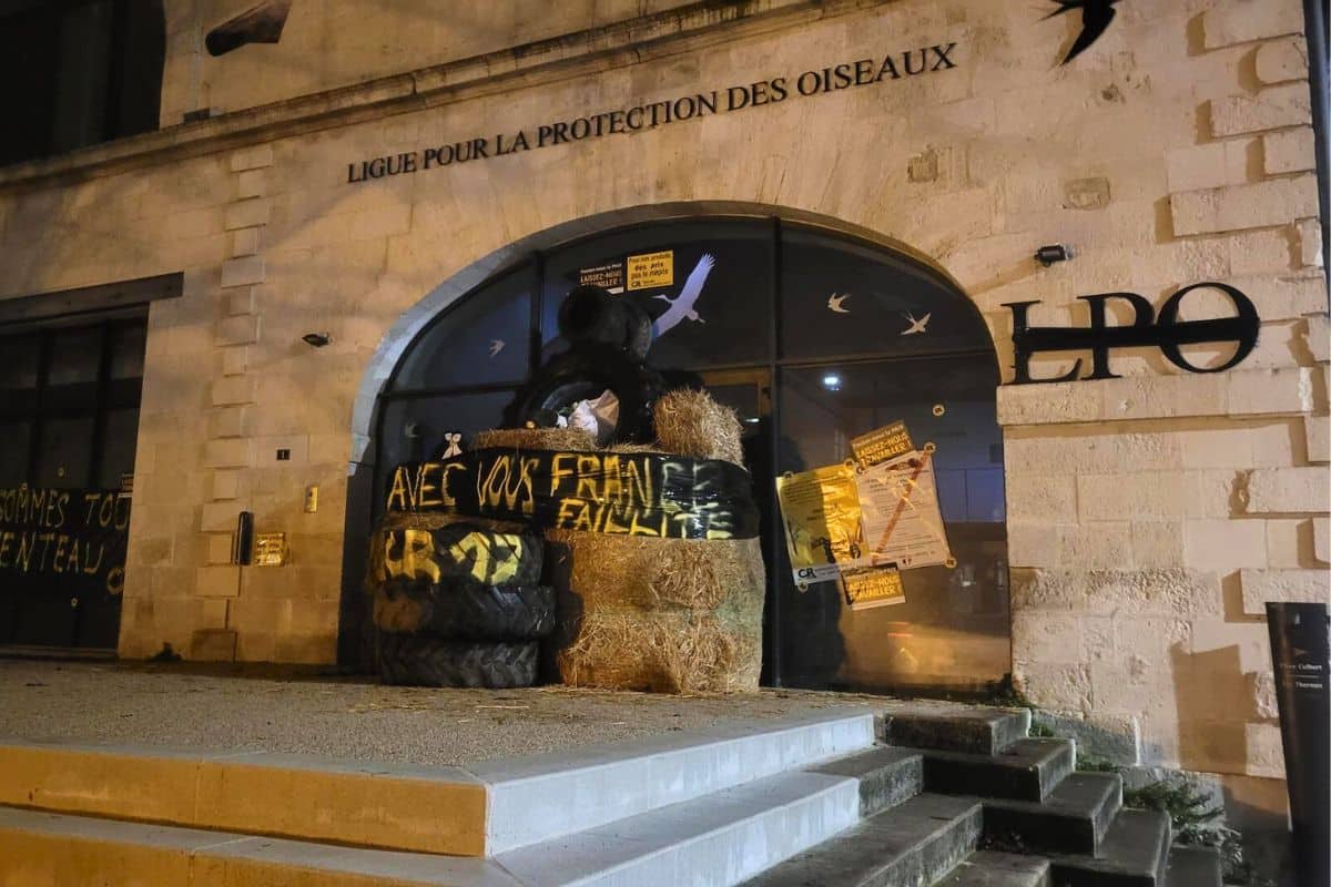 Sangliers décapités, pneus et bottes de paille : en Charente-Maritime, la Coordination rurale s&rsquo;en prend aux associations écologistes et à l&rsquo;OFB