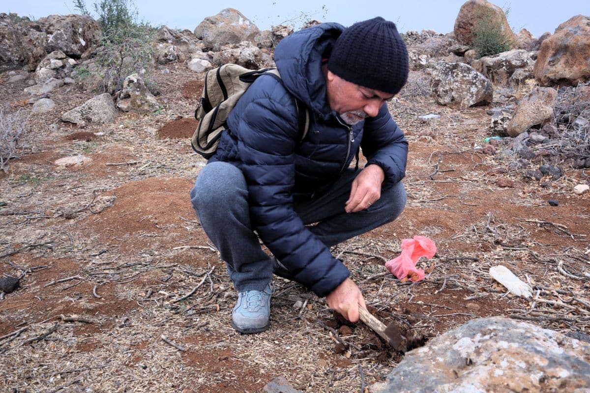 Un an après la chute de Bachar al-Assad en Syrie : «La restauration de l’environnement peut jouer un rôle dans la réconciliation»