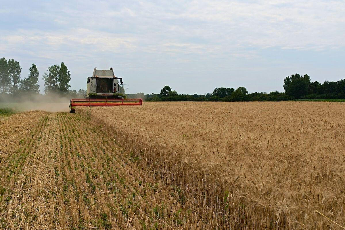 Municipales 2026 : PFAS, pesticides, CVM… que peuvent faire les communes face aux polluants ?