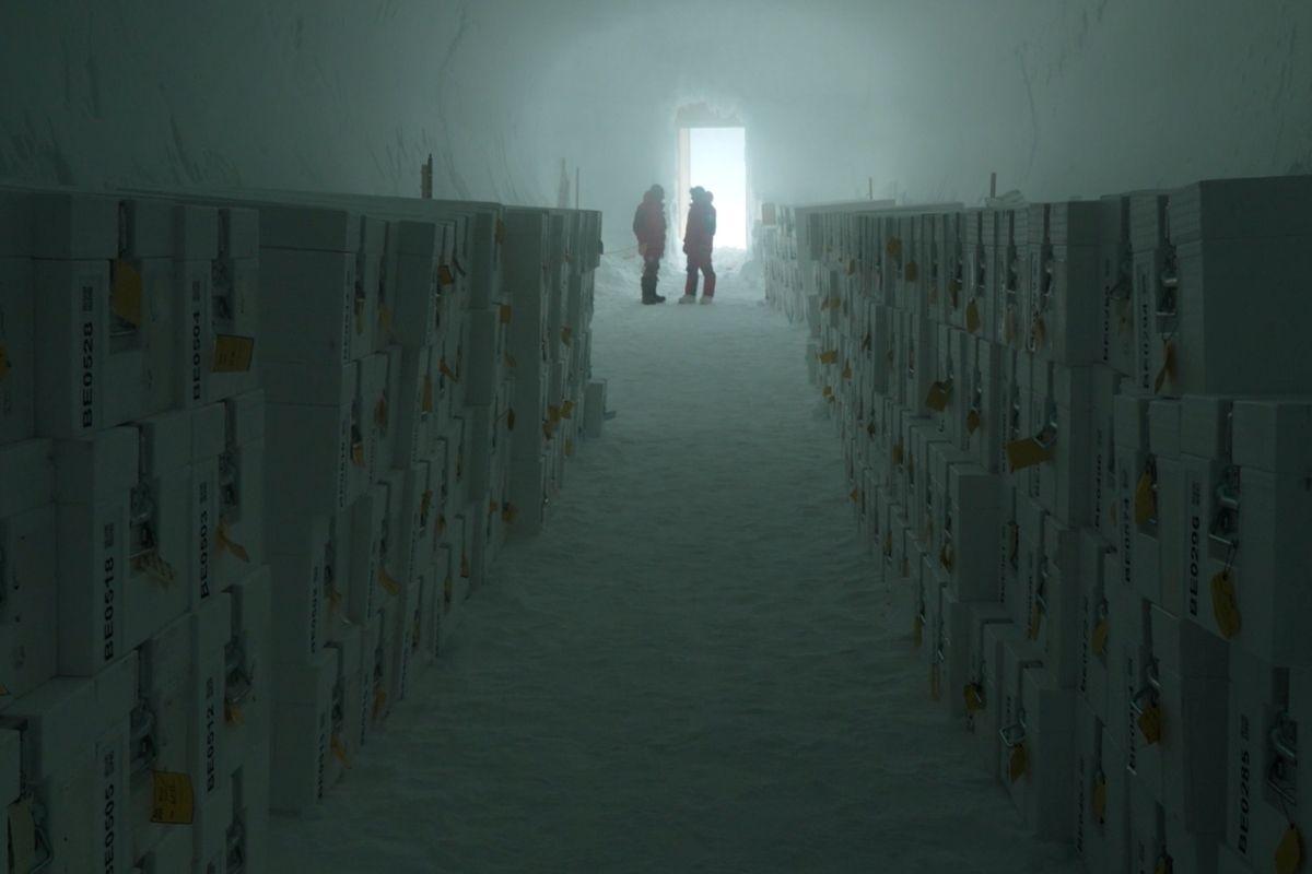 Le premier sanctuaire d’archives glaciaires inauguré en Antarctique : «C’est un devoir de transmettre cet héritage à l’humanité»