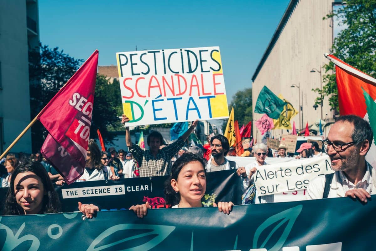 L’État français condamné pour la contamination massive des écosystèmes aux pesticides : «Une victoire révolutionnaire pour la biodiversité»